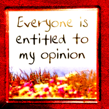 Vintage magnet~Everyone is entitled to my opinion - $8.91