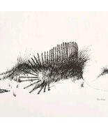 1974 Beach Dunes York County Maine Art Print Dan Cake Vtg Pen Ink Coasta... - €14,68 EUR