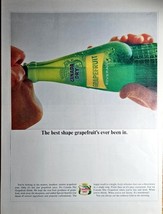CANADIAN DRY - Best Shape - Grapefruit&#39;s - Beverage - 1964 Vintage Print Ad - €10,04 EUR