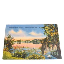 Postcard Lake Adair Orlando Florida Swans The City Beautiful Linen Unposted - £7.69 GBP