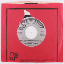 Tony Orlando - Who&#39;s In The Strawberry Patch w/ Sally 1973 45 rpm Record 45,424 - £4.14 GBP