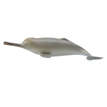 CollectA Ganges River Dolphin Figure (Medium) - £21.18 GBP