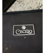 Mendini Violin by Cecilio With Case Great Condition USED S/N 20005136 - $79.19