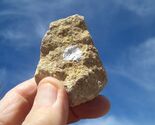 COFFINITE URANIUM ROCK  2.8 OZ 41,200. CPM  JURASSIC CANYON  $28.00 +$12... - $28.00