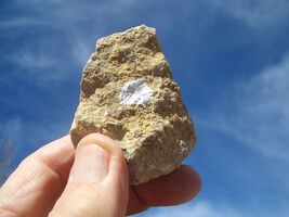 COFFINITE URANIUM ROCK  2.8 OZ 42,200. CPM  JURASSIC CANYON  $28.00 +$12... - $28.00