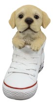 Paw-Star Pups Lifelike Yellow Labrador Puppy Dog in Sneaker Chucks Shoe ... - £27.45 GBP