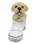 Paw-Star Pups Lifelike Yellow Labrador Puppy Dog in Sneaker Chucks Shoe ... - €30,35 EUR