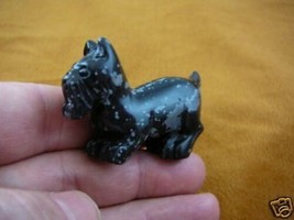(Y-DOG-SCS-728) Black SCOTTISH Terrier Scottie dog FIGURINE carving SCHN... - $17.53