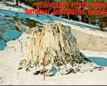 Florissant Fossil Beds National Monuments CO Postcard PC9 - £3.94 GBP