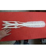 W3-i) 22&quot; Paddlefish skeleton head bill Polyodon spathula spoonbill padd... - £328.21 GBP