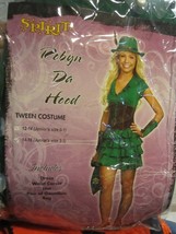 Lady Robin  hood Costume  size 14-16 - $27.50