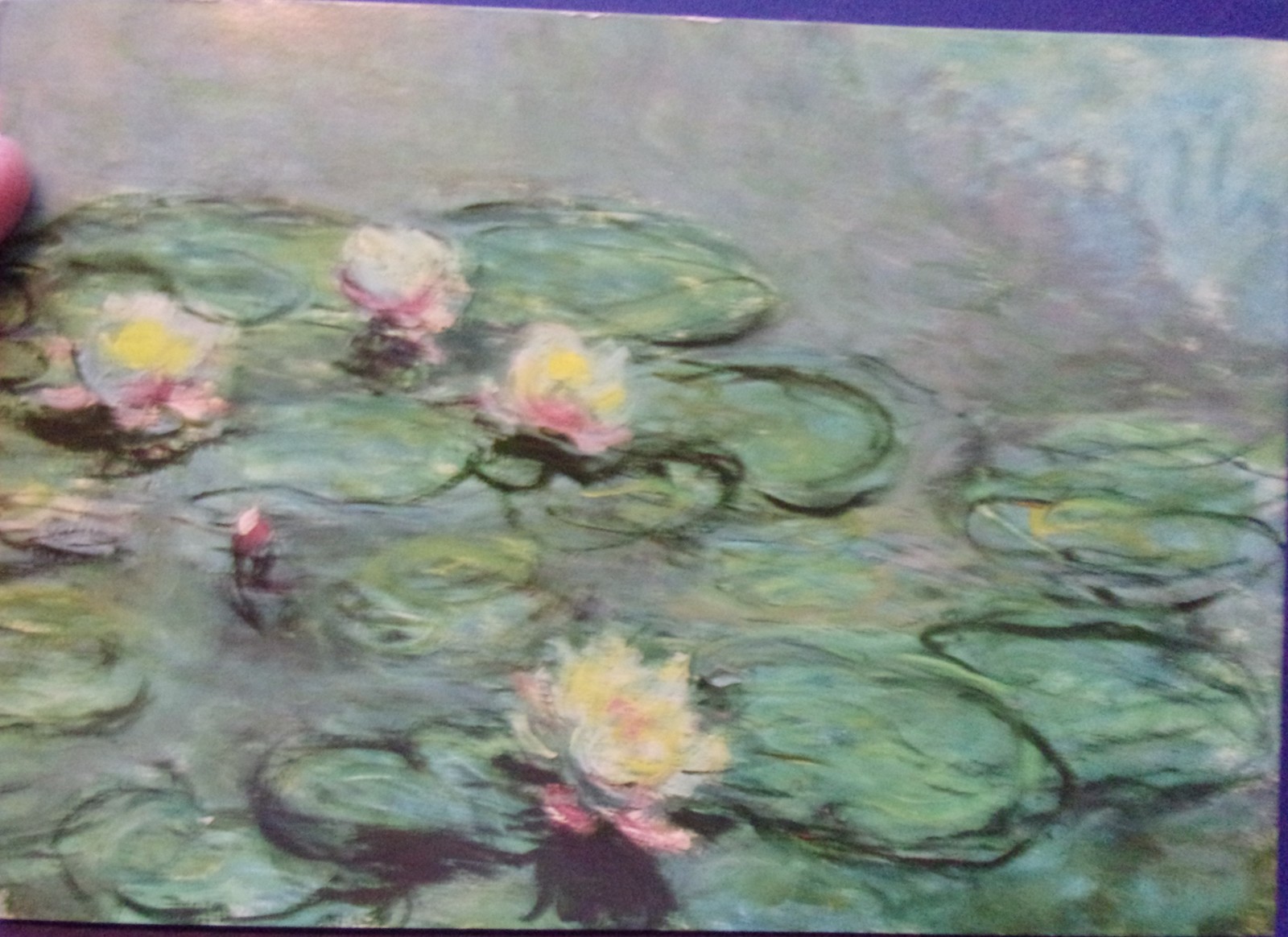 Art Postcard Lilly Pads In Pond - $1.99