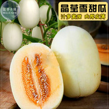 Sweet Melon Redish Orange Inside White Skin Fruit Seeds 10 Grams Pack High Yield - $33.63