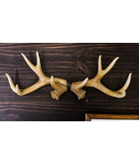 Ebros Brown Rustic 10 Point Stag Deer Antlers Rack Wall Plaque 17&quot;W Coat... - $45.20 CAD