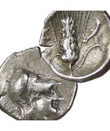 ATHENA Corinthian Helmeted head/Grain Ear, Metapontum Greek Silver diobol Coin - $454.89 CAD
