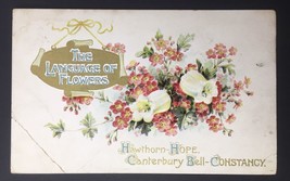 The Language of Flowers, Hawthorn-Hope Canterbury Bell-Constancy Postcard - £5.50 GBP