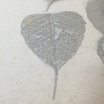 16 Silver Colour Skeleton Leaves Crafting Art Nature Inspiration Banyan Leaf - £7.00 GBP