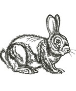 Minimalist Rabbit Low Stitch Count Machine Embroidery Design - $74.58 MXN