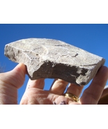 JTL:  JURASSIC TODILTO LIMESTONE URANIUM  36,000 CPM   20 oz. $35.00 +$1... - $35.00