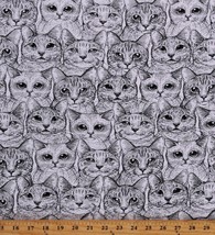 Jersey Knit Cats Kitten Animals Black White 54&quot; Cotton Fabric by Yard D343.26 - £10.98 GBP