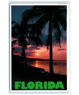 Sunset Water Palm Trees FL Postcard - €6,01 EUR
