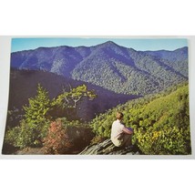 Postcard 1963 Smoky Mountains National Park Someone Sitting Aerial View - £7.20 GBP