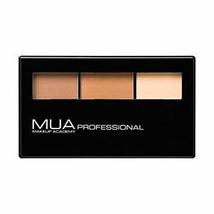 Fiico Contour Palette, Beige, Matte, Light to Medium Coverage, Powder, D... - $24.49