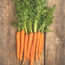 HT 300 Scarlet Nantes Heirloom Carrot Seeds Non-Gmo Organic Fresh Garden... - $186.58 MXN