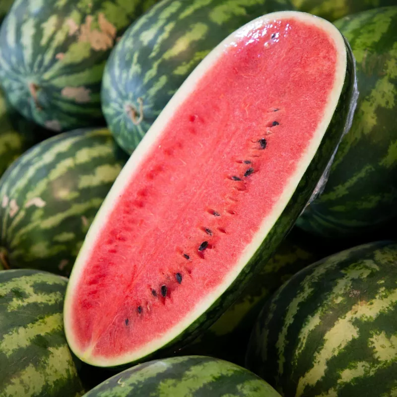 50 Congo Watermelon Seeds for Garden Planting - $5.48