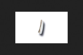 Bucky Bites Antler Dog Chew Medium - $22.14