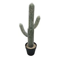 A&amp;B Home 24.5&quot; Potted Faux Saguaro Cactus Botanical/White - £54.10 GBP
