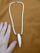 (G160-301) 2-5/8&quot; GATOR Alligator Tooth white aceh bovine bone + red NECKLACE - £60.52 GBP
