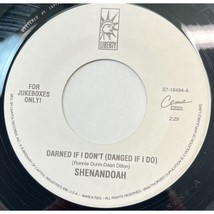 Shenandoah Darned If I Don&#39;t / Somewhere in the Vicinity of the Heart 45... - £8.49 GBP