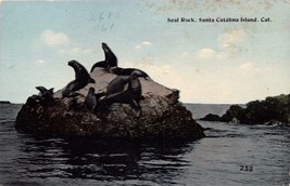 Santa Catalina Island Ca Seal Rock~T Ichnor Brothers Publ Postcard 1910s - £6.86 GBP