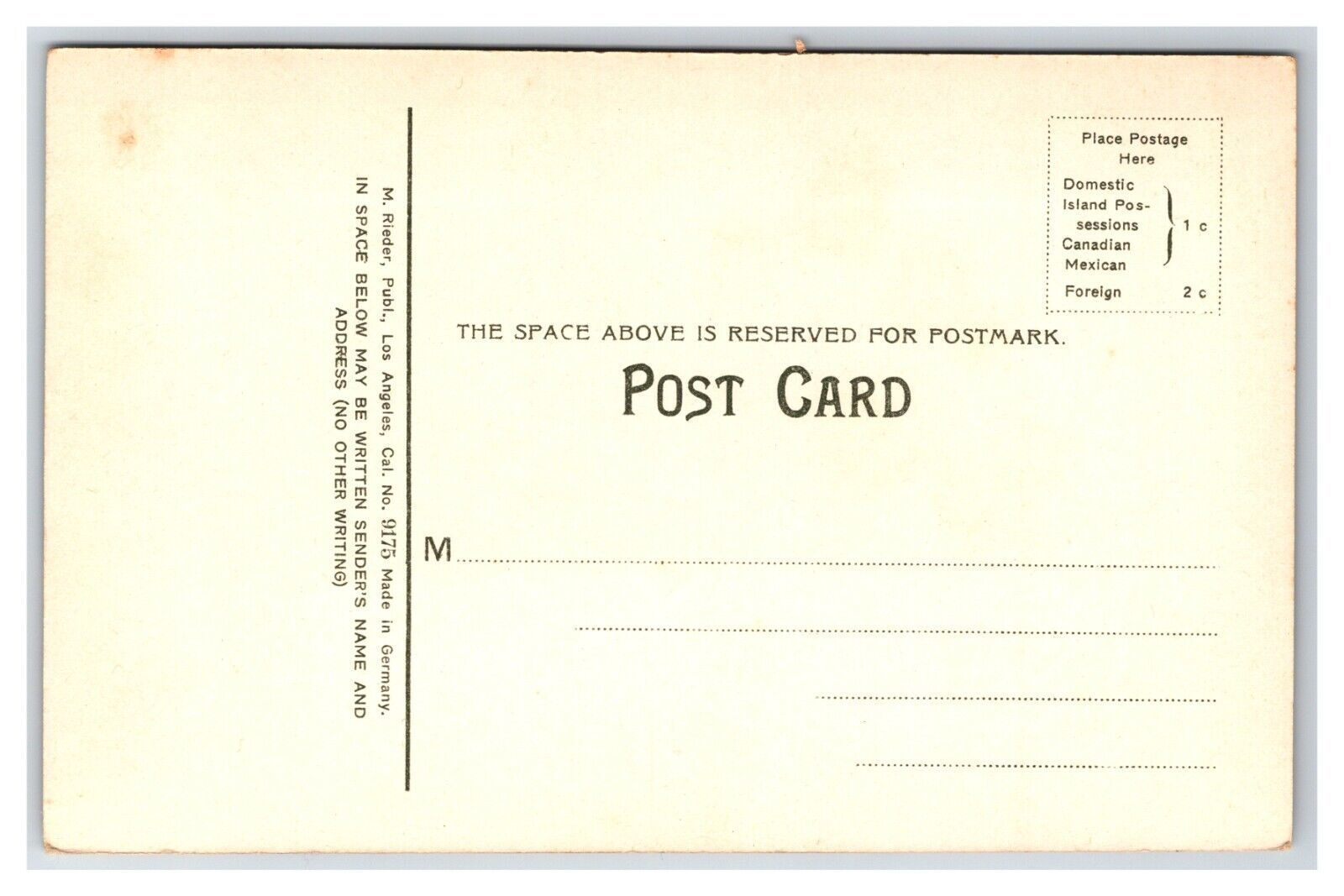 Orange Trees in California CA UNP Unused DB Postcard W3 Item image 2