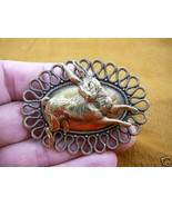 (b-bun-2) Bunny wild rabbit little Foo Foo hopping hare brass pin - £15.54 GBP