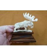 moose-26 white Moose Elk bull running shed ANTLER figurine Bali detailed... - $135.81 CAD