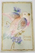 Sincere Wishes Lovely Bird Gold Accents Embossed 1908 Clarkson NE Postcard AA1 - £5.47 GBP