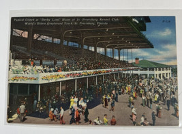 Postcard Grey Hound Race Track Derby Lane St. Petersburg FL World&#39;s Oldest 1954 - £5.01 GBP