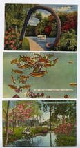 5 Cypress Gardens Florida Linen Postcards - $11.88