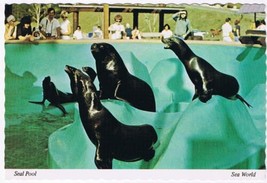 California Postcard San Diego Sea World Seal Pool - £2.31 GBP