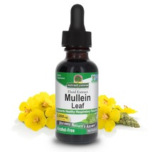 Nature&#39;s Answer Mullein Leaf Extract Drops – Alcohol-Free Lung Support S... - $11.39
