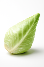 500+ Hispi Sweetheart Cabbage Seeds – Non-GMO, Early Harvest Garden Veggie - $16.50