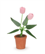 Timeless Minis Pot With Pink Tulips 0.5 X 1.625 Inches - £15.55 GBP