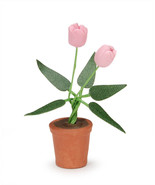 Timeless Minis Pot With Pink Tulips 0.5 X 1.625 Inches - $21.06