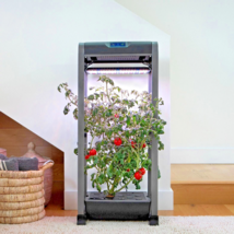 AEROGARDEN HYDROPONIC SYSTEM GARDEN 12 PODS AERO GARDEN INDOOR GROWING T... - £373.43 GBP