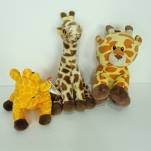Ty Beanie Baby Lot Of 3 Giraffe Twigs Gavin Stuffed Animal 8&quot; Plush - £17.85 GBP