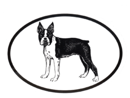 Boston Terrier Decal - Dog Breed Oval Vinyl Black &amp; White Window Sticker - $4.00