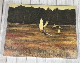 Vintage 1978 COMPLETE Springbok Jigsaw Puzzle PZL4096 Wings of Autumn 500 Pieces - $19.39