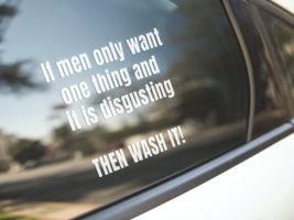 If men only want one thing and it&#39;s disgusting, then WASH IT - Vinyl decal - £8.78 GBP+